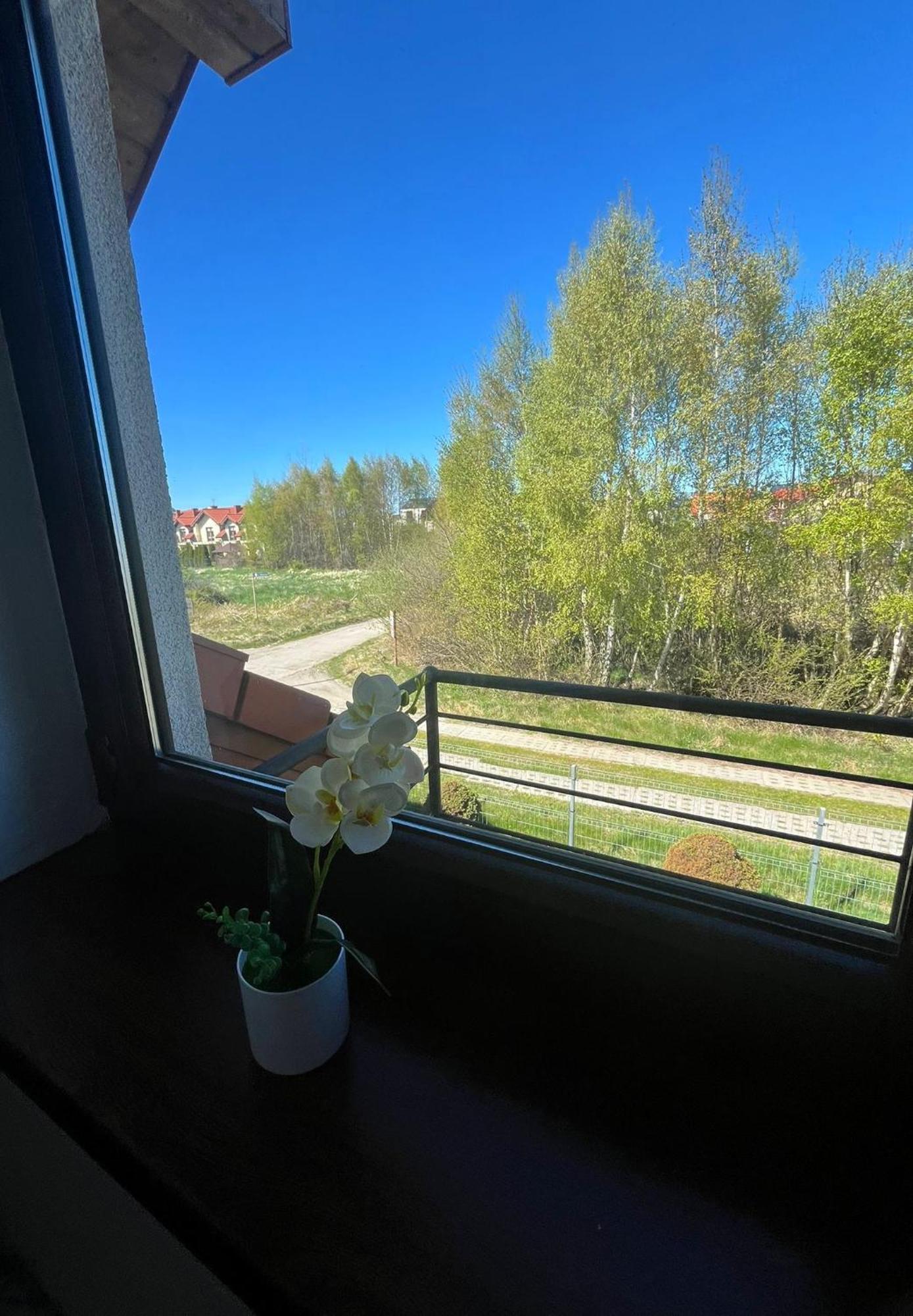 Apartamenty Adrenja Rowy  Exterior photo
